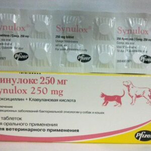 Synulox 250 mg amoxicillin clavulanic acid