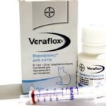 Veraflox antibiotic for cats in suspension 15 ml Bayer