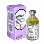 Metacam Meloxicam