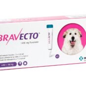Bravecto Spot-On (fluralaner) for dogs 40-56