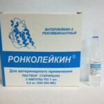 Roncoleukin 500 000 IU 1 vial - immunomodulator