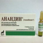 Anandin (Anandinum) 2ml №3