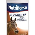 Canvit Nutri Horse Nutri Horse Chondro 1kg-Chondroprotector for the maintenance and restoration of articular horses