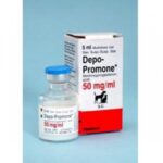 Depo-Promone 5 ml a compromise instead of sterilizing female dogs and cats