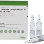 Heel Lachesis-composite 5ml 1 ampoule