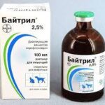Baytril 2.5% enrofloxacin solution for injection