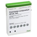 Heel Coenzyme-compositum 5ml 5 ampoules