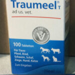 Heel Traumeel 100 tabs