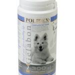 Printing Polidex Gelabon plus