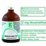 2-mg-dexamethasone-online-store