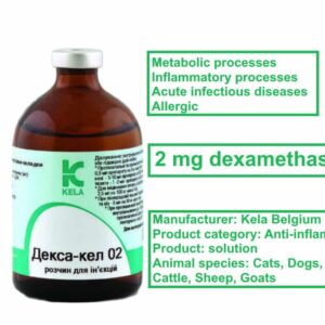 2-mg-dexamethasone-online-store