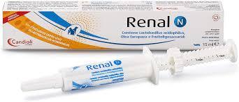 2225739460_renal-n-pasta Renal P paste 15ml for renal failure for cats and dogs - Image 1