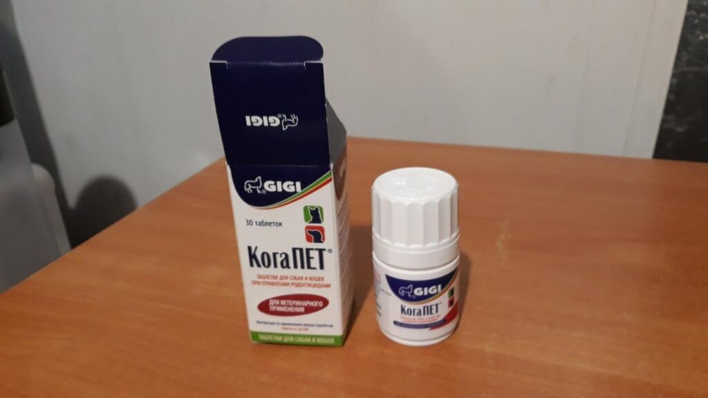 GIGI KogaPet vitamins K1 for dogs and cats 100 tablets Loopyvet