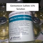 Gentamicin Sulfate