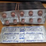 GIGI Pimopet 10tb 5 mg