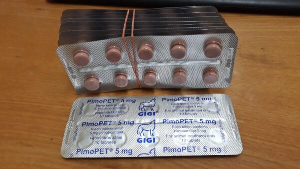 GIGI Pimopet 10tb 5 mg - Image 1