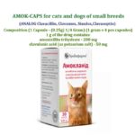 ANALOG-Clavacillin-Clavamox-SinuloxClavaseptin-1