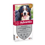 Advantix XXL Advantix flea and tick drops for dogs 40-60 kg