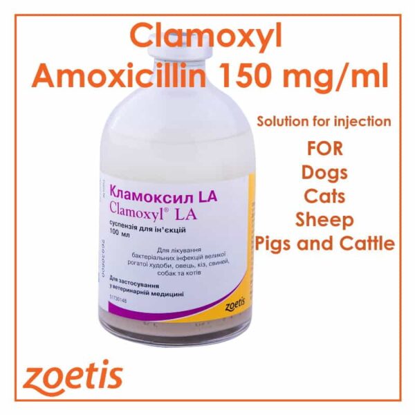 Amoxicillin-Injection-Antibiotic-broad-spectrum-penicillin-best-price-online