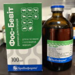 CATOSAL VITAMIN B12 butaphosphan cyanocobalamin boevit