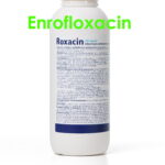 Enrofloxacin 100 mg no prescription ukr sale online 1000 ml
