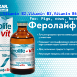 Ferolife+VitSolut 100 ml
