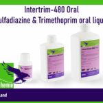 Intertrim-480-Oral-Sulfadiazine-Trimethoprim-oral-liquid