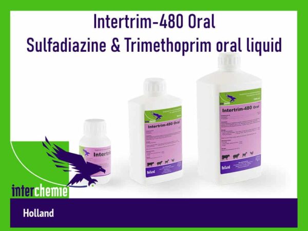 Intertrim-480-Oral-Sulfadiazine-Trimethoprim-oral-liquid
