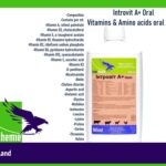 Introvit-A-Oral-Vitamins-Amino-acids-oral-liquid