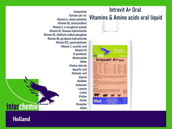 Introvit-A-Oral-Vitamins-Amino-acids-oral-liquid