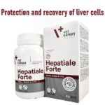 Protection-and-recovery-of-liver-cells-for-dogs