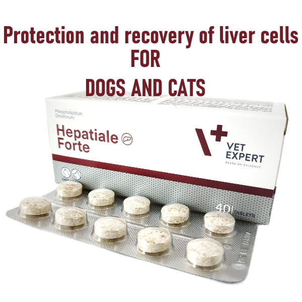 Protection-and-recovery-of-liver-cells