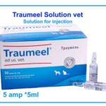 Traumeel Solution amp. 25ml (5ml*5pcs)