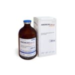 Amoxan PD-150 (amoxicillin 150 mg) Premium Injection 100 ml