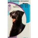 pyrantela pamoate, praziquantel suspension