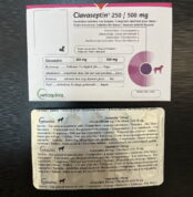 clavaseptin 250 no prescription 500 mg