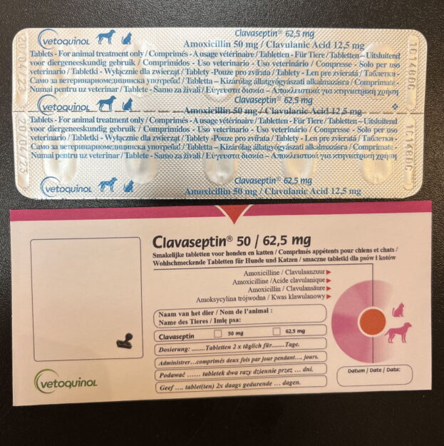 clavaseptin 50 no prescription 62 mg