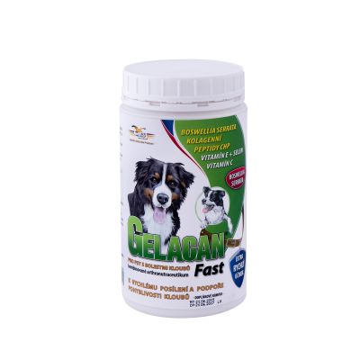 gelakan-fast-500-g-84973663133051_small6 Gelacan Fast, 500 g - Image 1