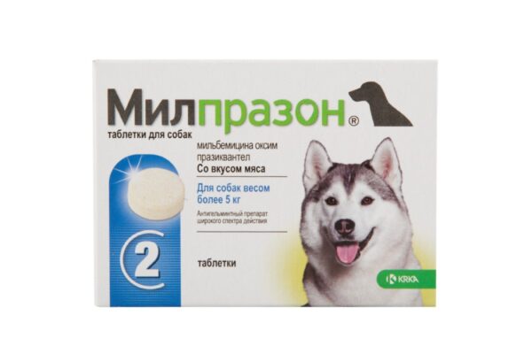 Milprazon (milbemycin oxime, praziquantel) wormer for dogs over 5 kg, 12.5 mg/125 mg