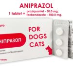 praziquantel-50-mg-Fenbendazole-500-mg-for-dogs-and-cats-dewormer