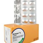 Vetmedyn® Chu 1,25 mg chewable   tabs №100