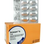 Vetmedin 5 mg chewable tabs №100