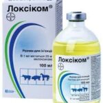 LOXICOM 100ml ( Meloxicam ) (OstiLox analog)