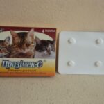 Prazimec C praziquantel for cats