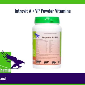 Introvit-A-VP-Powder-Vitamins-
