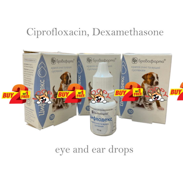 eye and ear drops Ciprofloxacin, Dexamethasone