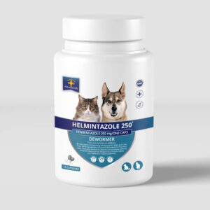 HELMINTAZOLE 250 72 capsules fenbendazole Panscur for dogs sale
