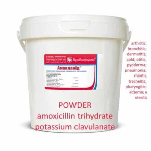 amoclanid amoxicillin
