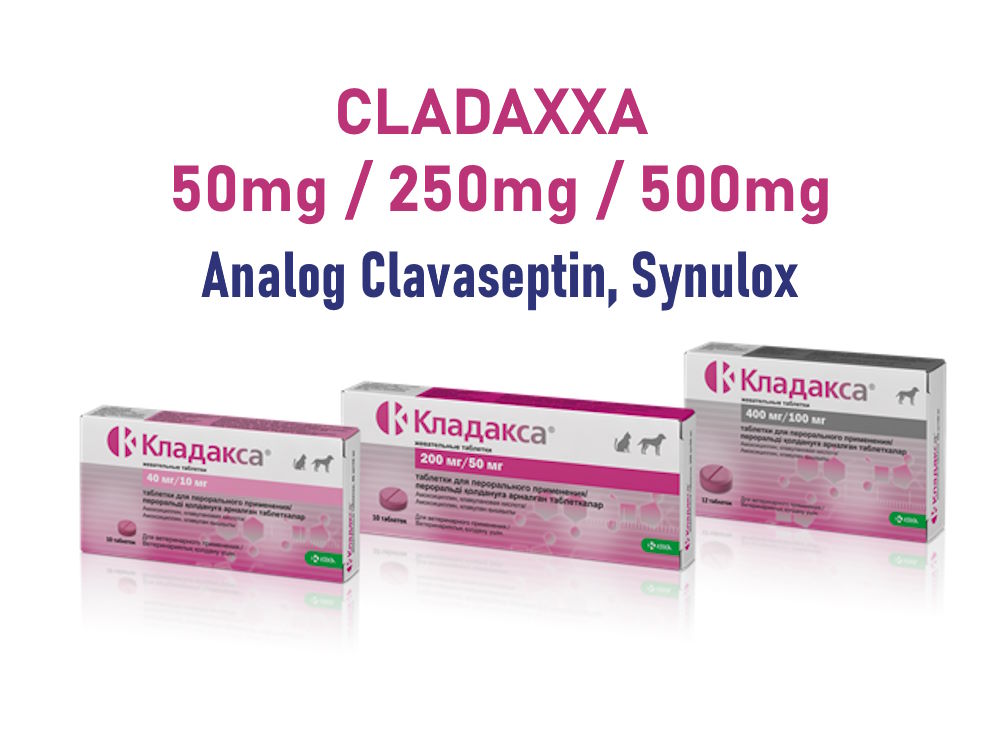 Analog Clavacillin, Clavamox, Clavaseptin, Betacillin, Synulox