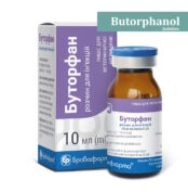 Butorphanol buy online for dogs and cats